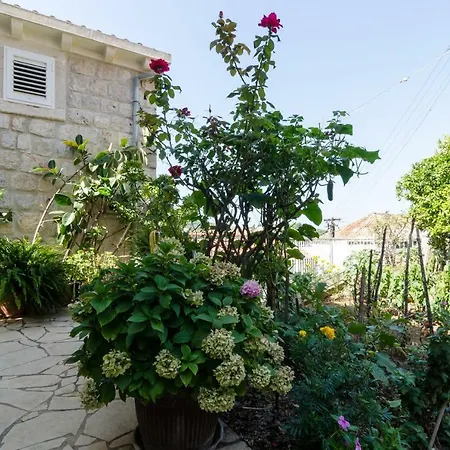 Bozica Dubrovnik